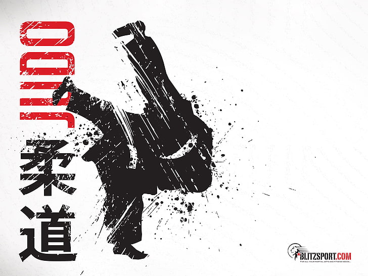 Judo logo vector art, flight, people, belt, kimono, throw, Judo, HD wallpaper
