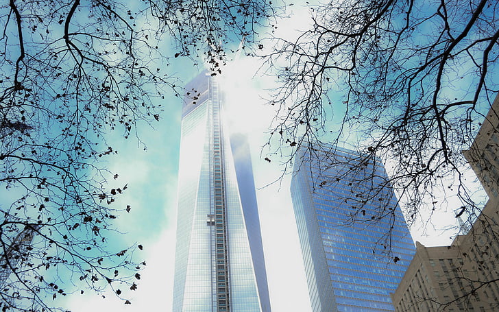 المباني ، الحرية ، ناطحات السحاب ، البرج ، نيويورك، خلفية HD