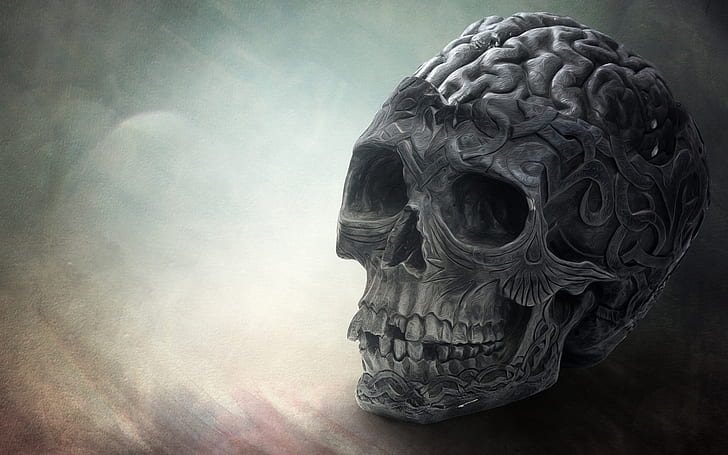 Brain Skull HD, kreatif, grafis, kreatif dan grafis, tengkorak, otak, Wallpaper HD