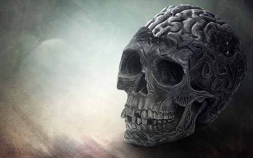 Brain Skull HD, креатив, графика, креатив и графика, череп, мозг, HD обои HD wallpaper