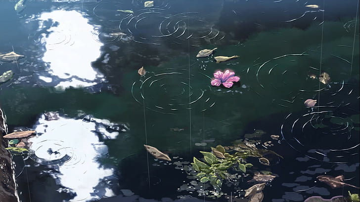 El jardín de las palabras, anime, animación, ondas, Makoto Shinkai, Fondo de pantalla HD