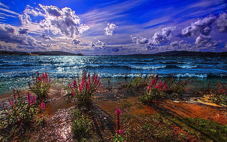 Специальный синий пейзаж, иллюстрация берега моря, море, небо, фон, HD обои