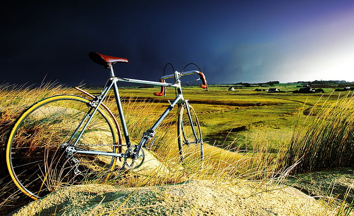 嵐の中のビンテージ自転車、灰色のロードバイク、スポーツ、自転車、ビンテージ、自転車、自転車、singlespeed、風景、古い、 HDデスクトップの壁紙