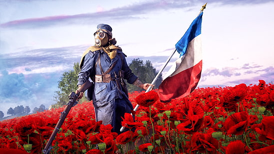 Campo di battaglia, Campo di battaglia 1, bandiera francese, maschera antigas, papavero, fiore rosso, soldato, Sfondo HD HD wallpaper