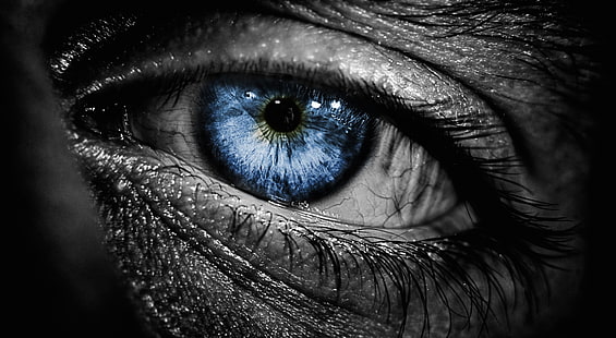 العين الزرقاء ، خلفية العين الزرقاء البشرية ، أبيض وأسود، خلفية HD HD wallpaper