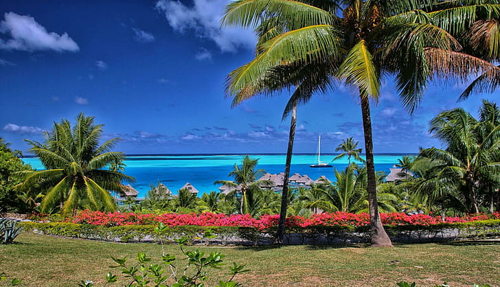 Beautiful Bora Bora, tropical, islands, lagoon, flowers, tahiti, beach, polynesia, ocean, bora-bora, blue, paradise, view, HD wallpaper