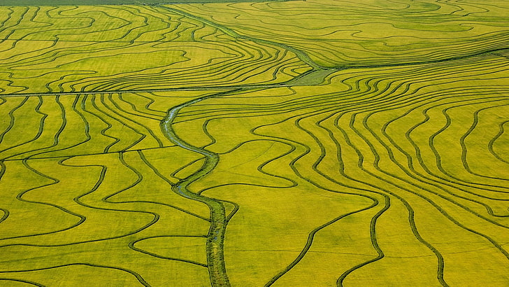 yellow and black area rug, nature, landscape, green, field, river, bird's eye view, rice paddy, aerial view, HD wallpaper