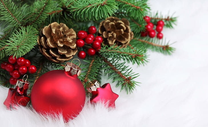 クリスマスの飾り、芽、小枝、針、毛皮、新年、クリスマス、クリスマスの飾り、小枝、針、新年、クリスマス、 HDデスクトップの壁紙