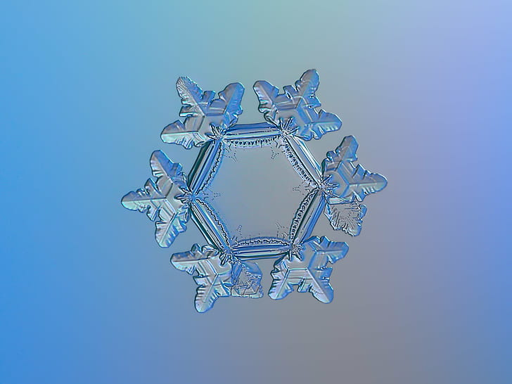 selective focus photography of snow flake, Snowflake, macro, sunflower, explore, selective focus, photography, snow flake, photo, snow  crystal, crystal  symmetry, outdoor, winter, cold, frost, natural, ice, closeup, transparent, hexagon, magnified, details, shape, christmas, sign, symbol, season, seasonal, fine, elegant, ornate, beauty, beautiful, north, decor, isolated, clear, unique, decorated, light, fragile, fragility, structure, background, flake, frosty, pattern, weather, icy, microscopic, ornament, decoration, abstract, shiny, glitter, sparkle, design, volumetric, storm, new year, extraordinary, crystalline, crystallized, crisp, rare, backgrounds, vector, blue, illustration, HD wallpaper