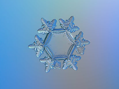 selective focus photography of snow flake, Snowflake, macro, sunflower, explore, selective focus, photography, snow flake, photo, snow  crystal, crystal  symmetry, outdoor, winter, cold, frost, natural, ice, closeup, transparent, hexagon, magnified, details, shape, christmas, sign, symbol, season, seasonal, fine, elegant, ornate, beauty, beautiful, north, decor, isolated, clear, unique, decorated, light, fragile, fragility, structure, background, flake, frosty, pattern, weather, icy, microscopic, ornament, decoration, abstract, shiny, glitter, sparkle, design, volumetric, storm, new year, extraordinary, crystalline, crystallized, crisp, rare, backgrounds, vector, blue, illustration, HD wallpaper HD wallpaper