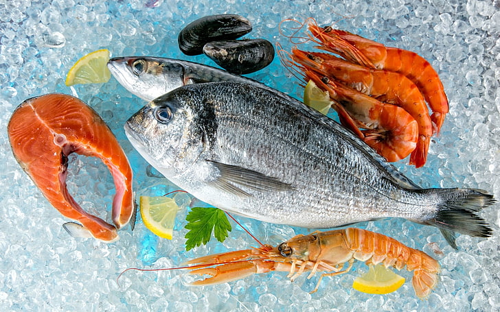 Jedzenie, owoce morza, ryby, krewetki, Tapety HD