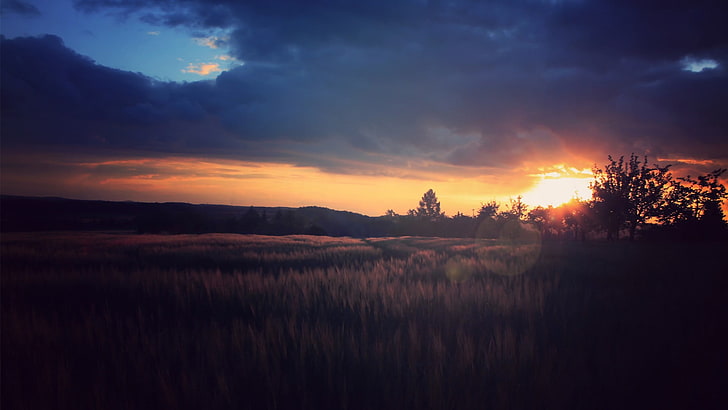 campo de hierba verde, noche, puesta de sol, nublado, destello de lente, naturaleza, paisaje, Fondo de pantalla HD