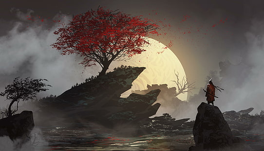 Fantasi, Prajurit, Samurai, Matahari Terbenam, Wallpaper HD HD wallpaper