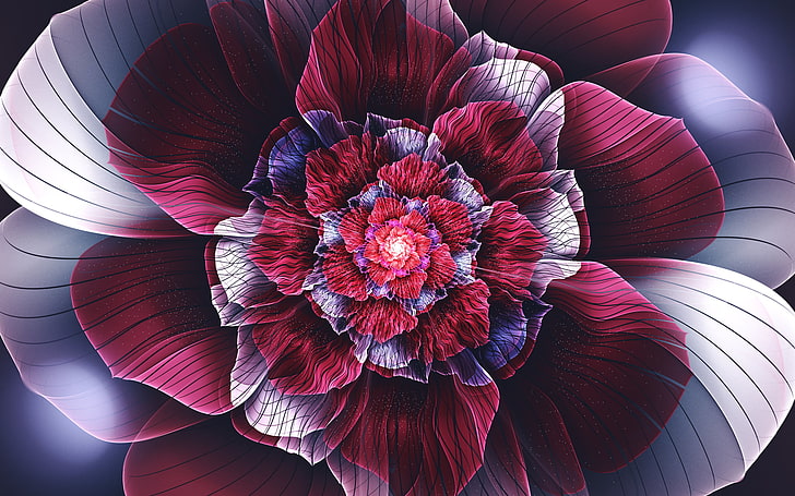 illustration de fleur rouge et blanche, photographie macro de fleur rouge, fractale, résumé, fleurs de fractale, fleurs, symétrie, pétales, art numérique, Fond d'écran HD