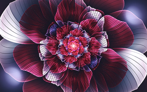 التوضيح زهرة حمراء وبيضاء ، تصوير لقطة ماكرو للزهرة الحمراء ، كسورية ، مجردة ، أزهار كسورية ، زهور ، تناظر ، بتلات ، فن رقمي، خلفية HD HD wallpaper