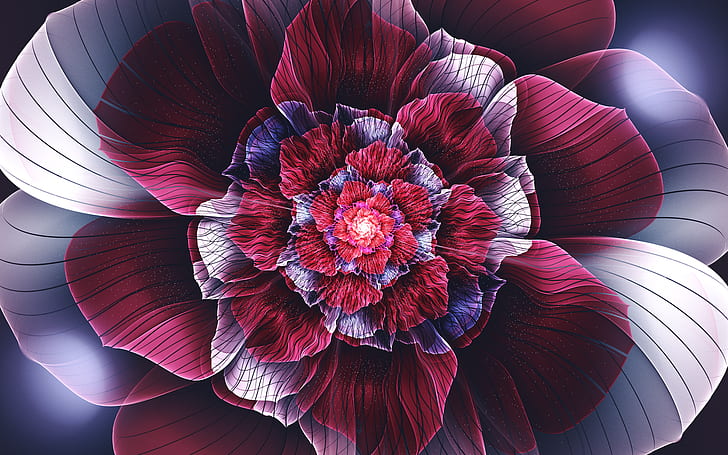 petals, abstract, fractal flowers, symmetry, digital art, flowers, fractal, HD wallpaper
