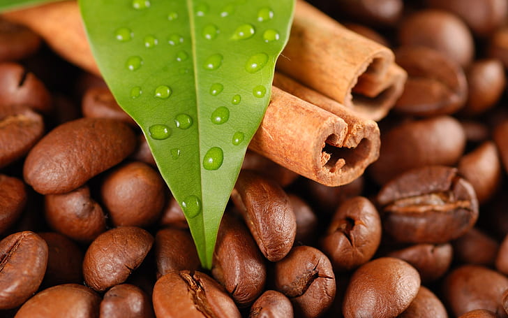 Kaffee, Getreide, Zimt, HD-Hintergrundbild