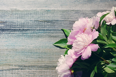 pink flowers, bouquet, pink, wood, flowers, beautiful, peonies, peony, HD wallpaper HD wallpaper