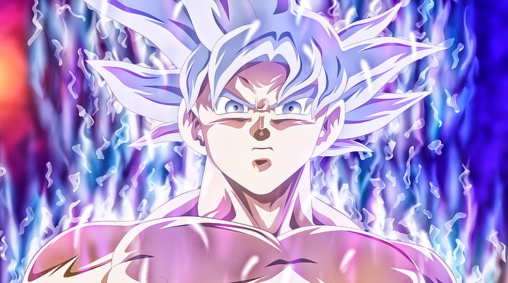 Goku Mastered Ultra Instinct, Dragon Ball Super Complete Ultra Instinct Son Goku, Artistic, Anime, HD тапет