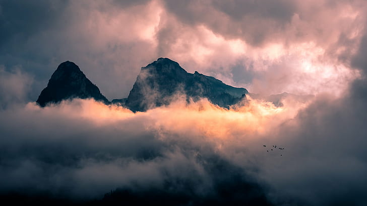foggy mountain photo shot during daytime, romania, romania, Sunset, Bucegi mountains, Romania, Landscape photography, shot, daytime, view, nature, busteni, birds, sky, fog, weather, clouds, Bușteni, Prahova, RO, portfolio, mountain, mountain Peak, cloud - Sky, landscape, scenics, outdoors, cloudscape, HD wallpaper