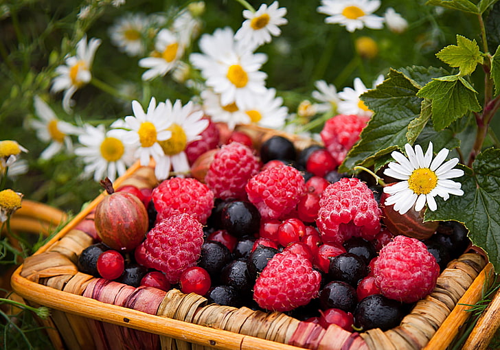 bunch of raspberries, berries, raspberries, gooseberries, currants, chamomile, basket, HD wallpaper