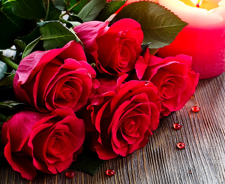 five red roses, roses, bouquet, red, closeup, HD wallpaper