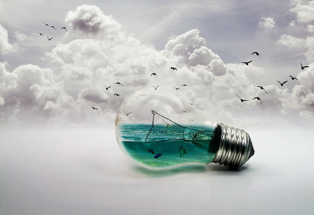 Lamp Abstract, bulb, Lamp, Bird, background, HD wallpaper HD wallpaper