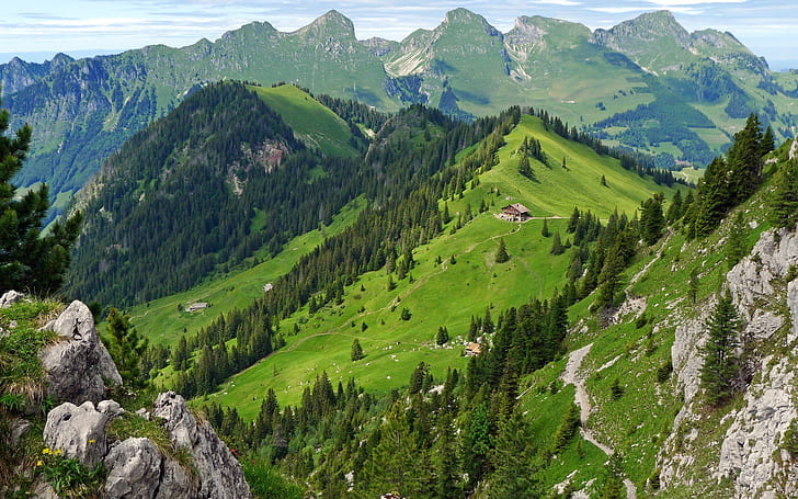 Switzerland, mountains, forest, summer, house, Switzerland, Mountains, Forest, Summer, House, HD wallpaper