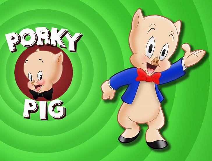 looney, pig, porky, tunes, HD wallpaper