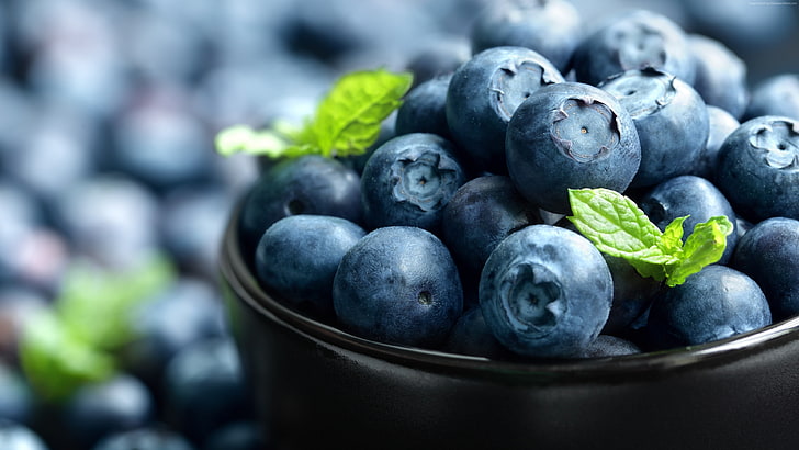 berries, 4K, blueberry, HD wallpaper