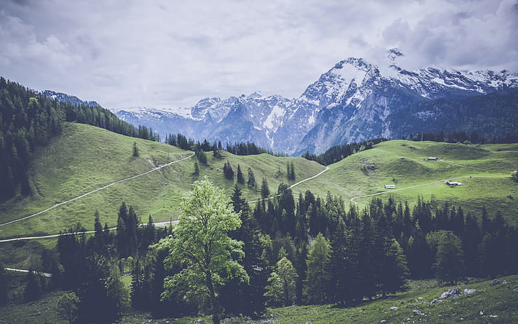 berge, gras hintergründe, wald, wiese, weide, download 3840x2400 berge, HD-Hintergrundbild