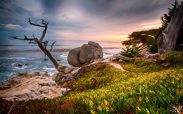 Kalifornien Usa-kusten nära staden Monterey 4k Ultra HD Tv-tapet för stationär bärbar datorplatta och mobiltelefoner 3840 × 2400, HD tapet