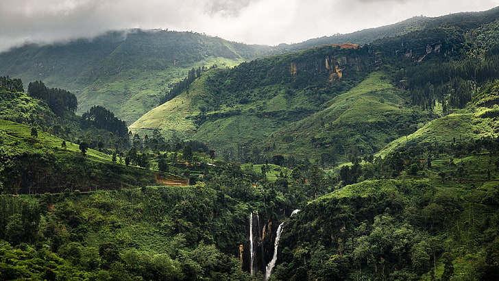 grönt berg, gröna, landskap, tropikerna, Sri Lanka, HD tapet