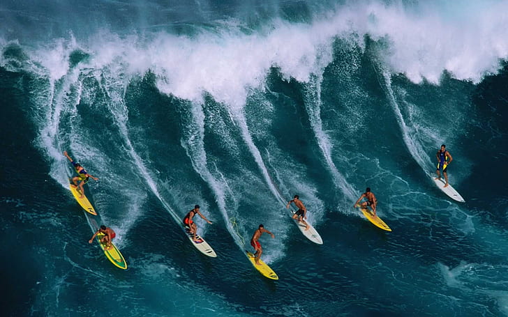 Caras surfando, 7 pranchas de surf variadas, oceano, onda, caras, surf, tubarões, HD papel de parede