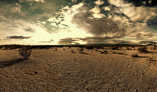 panorama photography of desert, Desert Tortoise Natural Area, panorama photography, nature, desert, sand, landscape, dirt, dry, sky, land, outdoors, HD wallpaper HD wallpaper