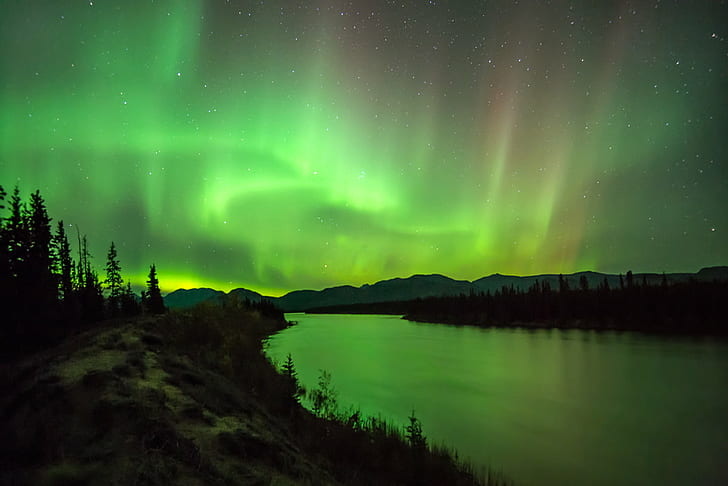 lukisan gunung hitam dan hijau, gunung hijau, lukisan, Lampu Utara, Aurora Borealis, Musim Gugur, Sungai Yukon, Kanada Utara, malam, bintang - Luar Angkasa, aurora Polaris, astronomi, alam, langit, pemandangan, Wallpaper HD