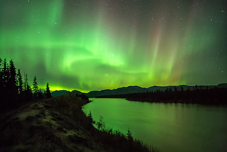 svart och grönt bergsmålning, grönt berg, målning, norrsken, Aurora Borealis, höst, Yukon River, norra Kanada, natt, stjärna - rymd, aurora polaris, astronomi, natur, himmel, landskap, HD tapet HD wallpaper