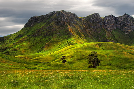 зелена трева на планина под синьо небе, твърда скала, зелена трева, планина, синьо небе, дървета, canon 20d, пейзаж, опознаване, природа, трева, на открито, ливада, хълм, лято, живопис, HD тапет HD wallpaper