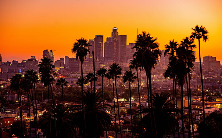 Los Ángeles, California, carretera, palmeras, puesta de sol, 4K, Fondo de  pantalla HD | Wallpaperbetter
