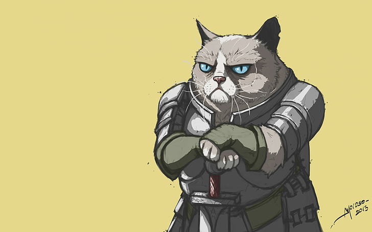 Gato gruñón, armadura, meme, Fondo de pantalla HD