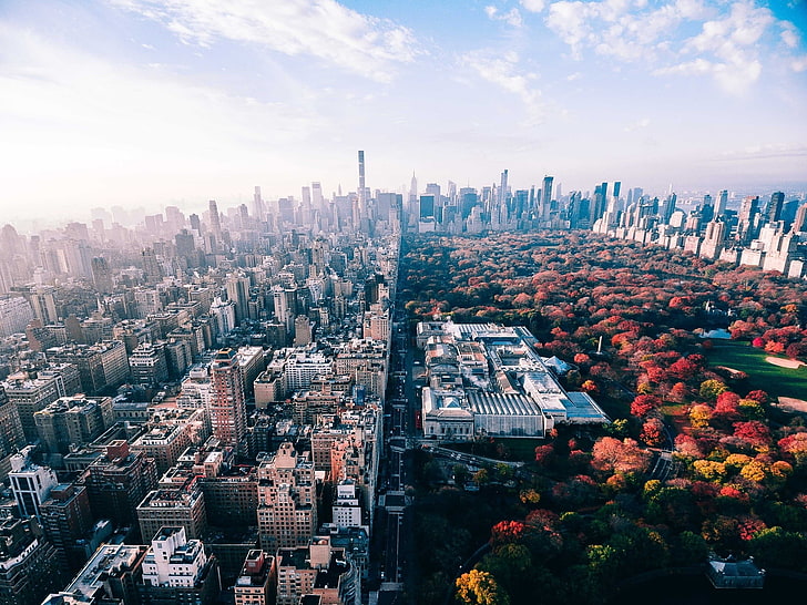 działka budowlana, fotografia widokowa miasta, budynku, USA, Nowego Jorku, parku, pejzażu miejskiego, jesieni, Central Parku, Tapety HD