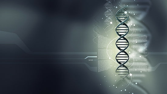 ADN, abstracto, Fondo de pantalla HD HD wallpaper