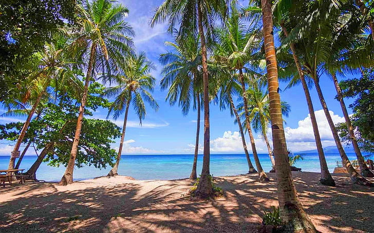 плаж, пейзаж, природа, палми, Филипини, фотография, море, сянка, слънчева светлина, тропически, HD тапет