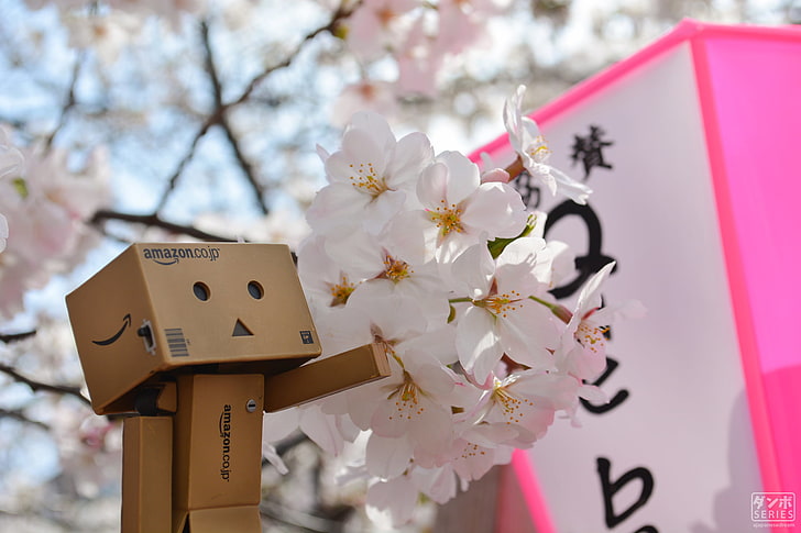 flor de pétalos blancos, Danbo, Amazonas, flor de cerezo, primavera, Japón, Japón, Tokio, Osaka, Monte Fuji, Fondo de pantalla HD