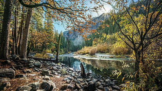 кафяви и жълти листни дървета в близост до водно тяло, национален парк Йосемити, Калифорния, национален парк Йосемити, Калифорния, САЩ, пейзажна фотография, кафяво, жълто, листа, дървета, водно тяло, Калифорния, геомаркирани, забележителност, пейзаж, национален, естествен, природен парк, снимка, фотография, отражения, река, скали, небе, sony a7, слънце, слънчева светлина, пътуване, САЩ, село, Voigtlander, вода, гори, YOSEMITE НАЦИОНАЛЕН ПАРК, САЩ, есен, природа, гора, дърво, живопис, на открито, сезон, красота В природата, HD тапет HD wallpaper