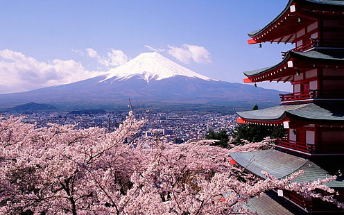 Mt. Fuji Japan, blossoms, cherry, fuji, japan, mount, HD wallpaper HD wallpaper