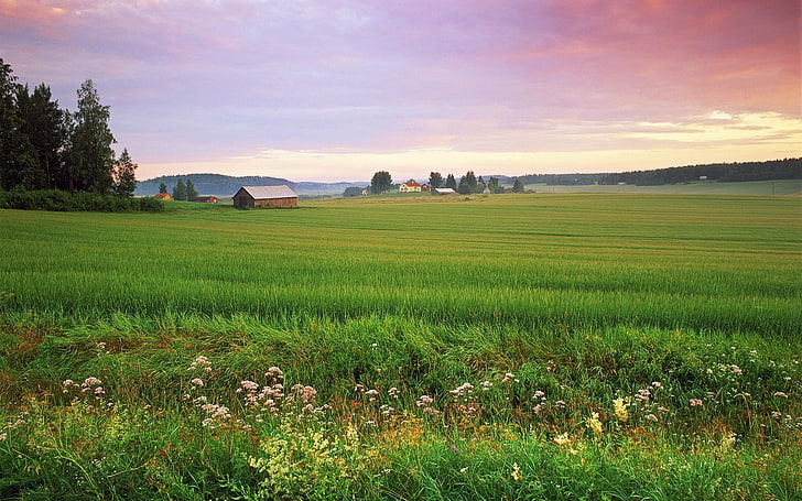 landscape, Landsekap Nordic, Wallpaper HD