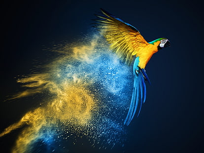 arara amarela e azul, manipulação de fotos, papagaio, amarelo, azul, fumaça, pintura a óleo, ciano, animais, brilhos, voador, HD papel de parede HD wallpaper