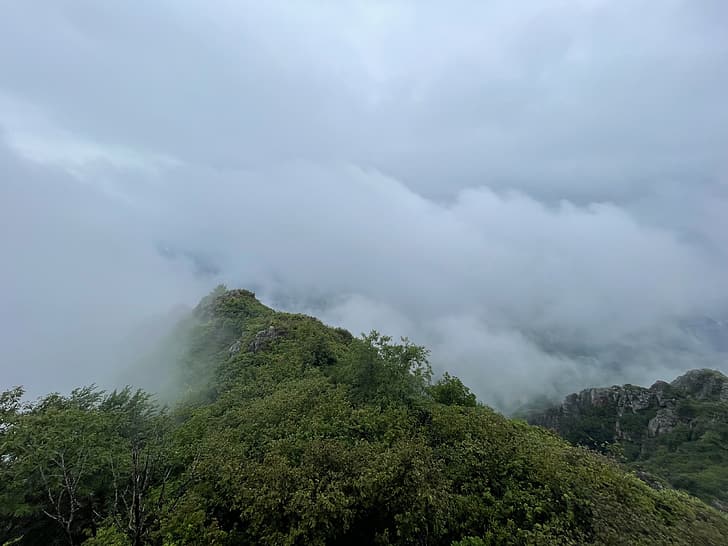 туман, природа, вершина горы, Турция, Орду, лес, HD обои