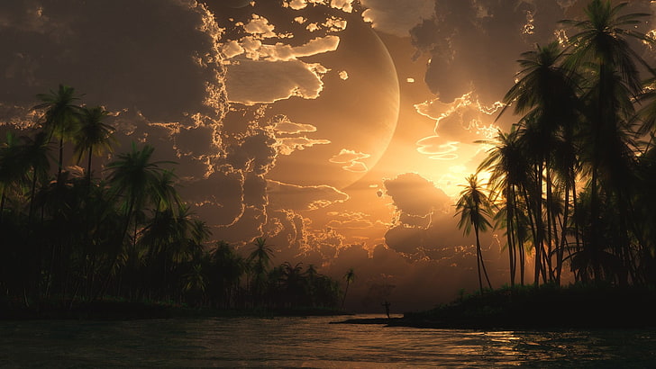 drzewa kokosowe, krajobraz, zachód słońca, palmy, Tapety HD